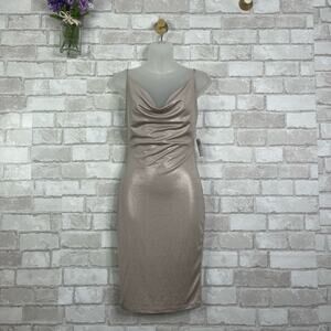 NWT Windsor Taupe Champagne Cami Scoop Neck Dress